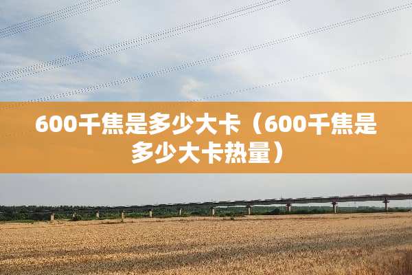 600千焦是多少大卡（600千焦是多少大卡热量）