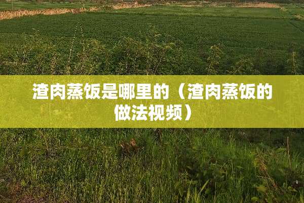 渣肉蒸饭是哪里的（渣肉蒸饭的做法视频）
