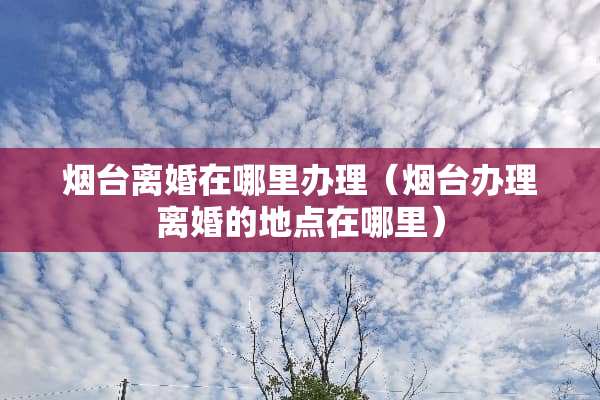 烟台**在哪里办理（烟台办理**的地点在哪里）
