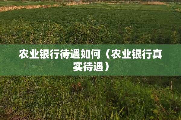 农业银行待遇如何（农业银行真实待遇）