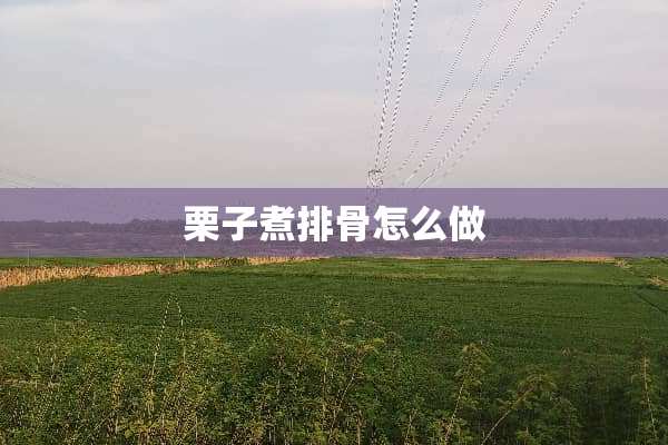栗子煮排骨怎么做