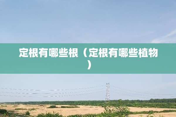 定根有哪些根（定根有哪些植物）