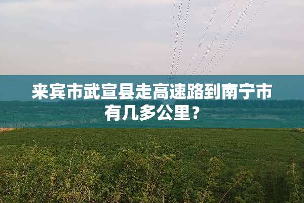 来宾市武宣县走高速路到南宁市有几多公里？