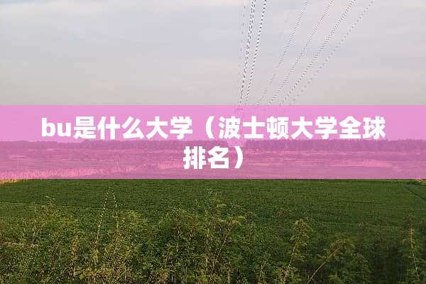 bu是什么大学（波士顿大学全球排名）
