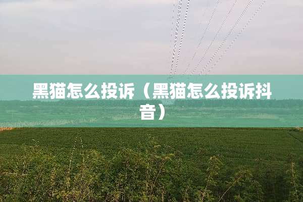 黑猫怎么投诉（黑猫怎么投诉抖音）