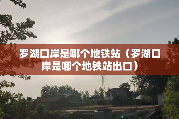 罗湖口岸是哪个地铁站（罗湖口岸是哪个地铁站出口）