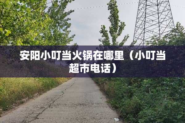安阳小叮当火锅在哪里（小叮当超市电话）