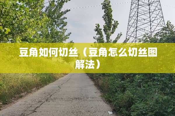 豆角如何切丝（豆角怎么切丝图解法）