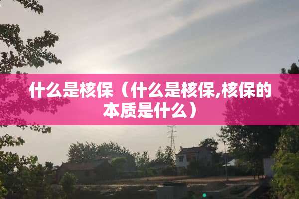 什么是核保（什么是核保,核保的本质是什么）