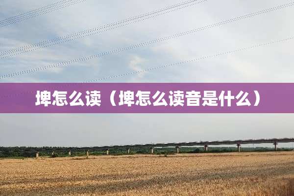埤怎么读（埤怎么读音是什么）