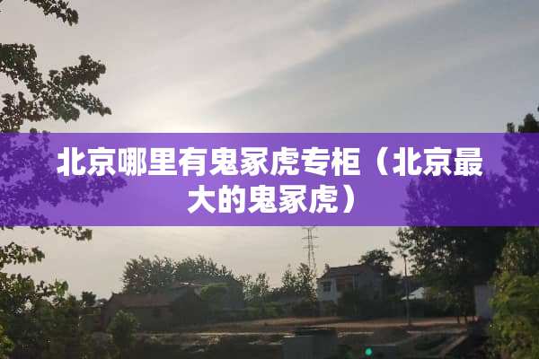 北京哪里有鬼冢虎专柜（北京最大的鬼冢虎）