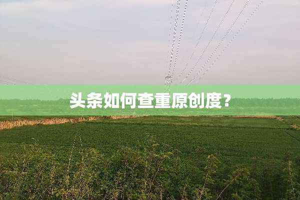 头条如何查重原创度？