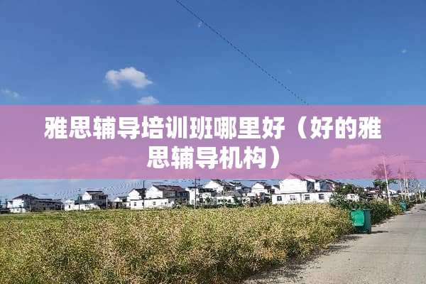 雅思辅导培训班哪里好（好的雅思辅导机构）