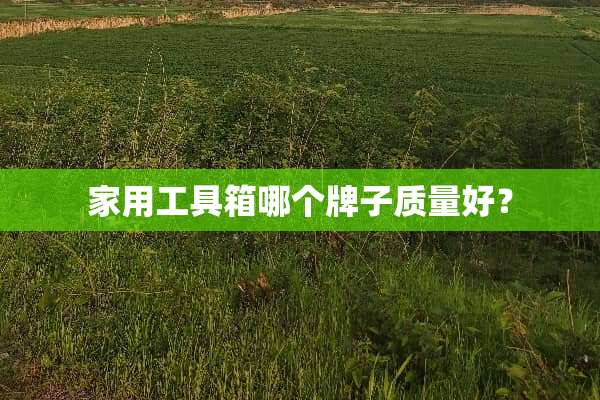 家用工具箱哪个牌子质量好？
