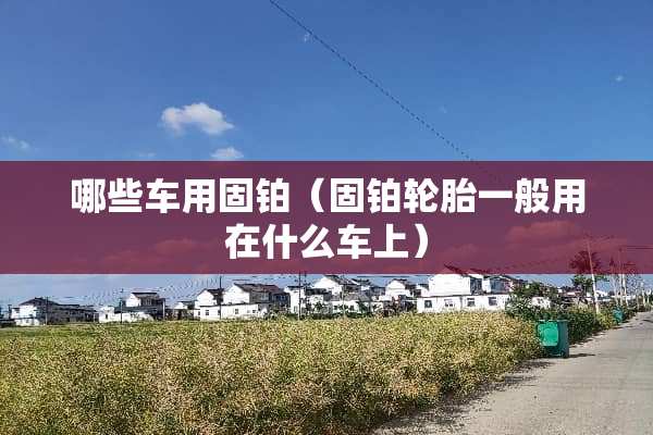 哪些车用固铂（固铂轮胎一般用在什么车上）