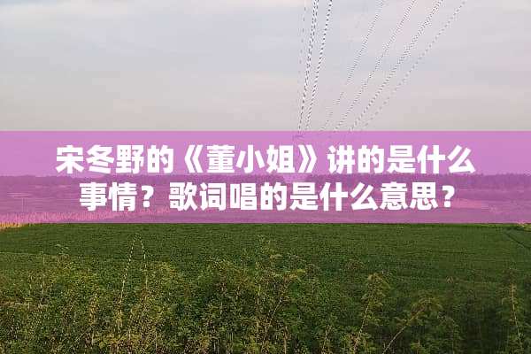 宋冬野的《董小姐》讲的是什么事情？歌词唱的是什么意思？