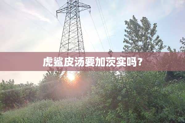 虎鲨皮汤要加茨实吗？