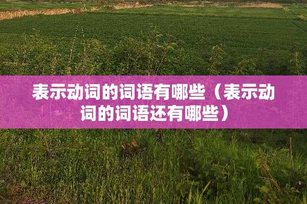表示动词的词语有哪些（表示动词的词语还有哪些）