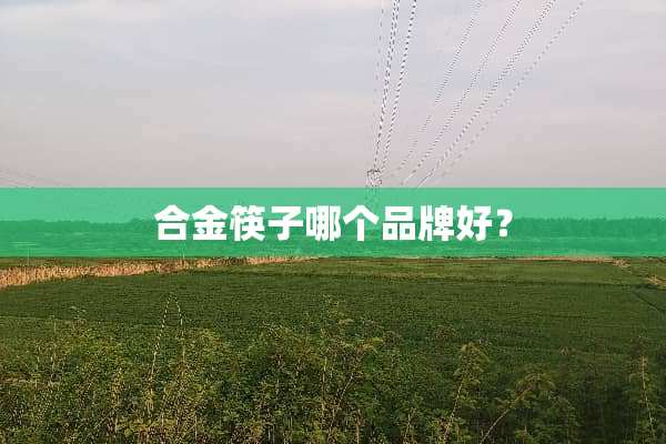 合金筷子哪个品牌好？