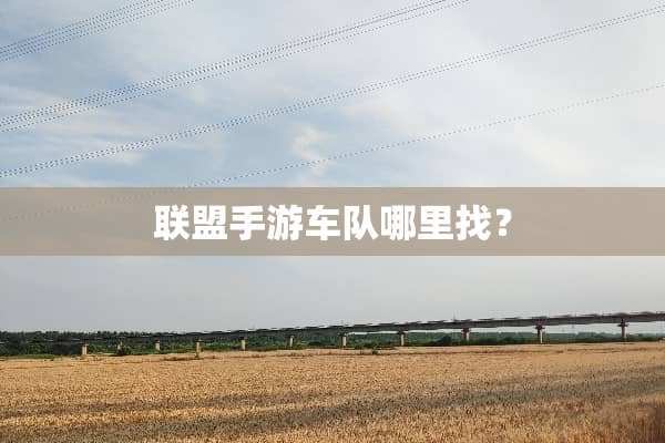 联盟手游车队***？