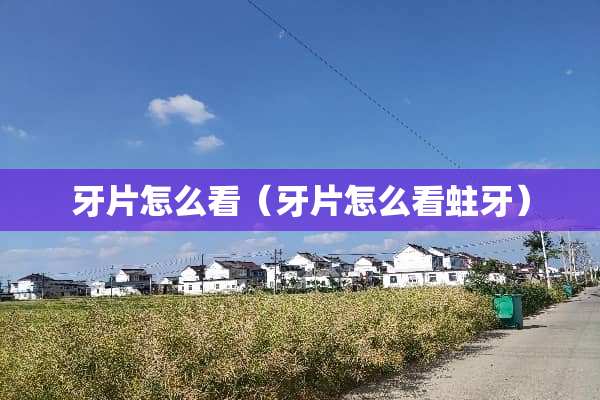 牙片怎么看（牙片怎么看蛀牙）