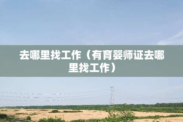 去***工作（有育婴师证去***工作）