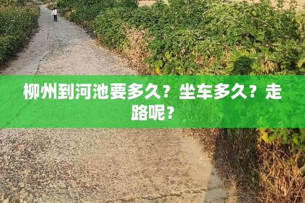 柳州到河池要多久？坐车多久？走路呢？