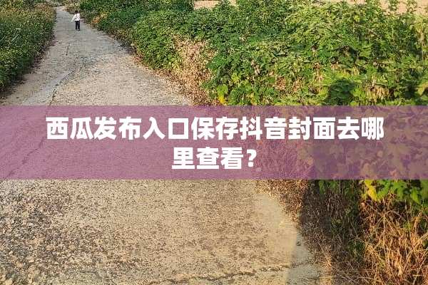 西瓜发布入口保存抖音封面去哪里查看？