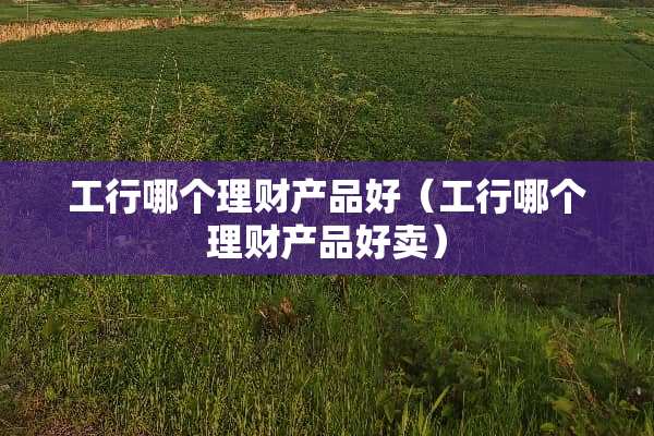 工行哪个理财产品好（工行哪个理财产品好卖）