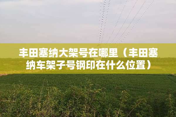 丰田塞纳大架号在哪里（丰田塞纳车架子号钢印在什么位置）