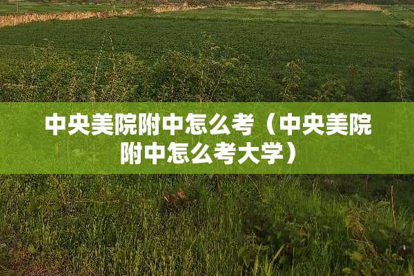 **美院附中怎么考（**美院附中怎么考大学）