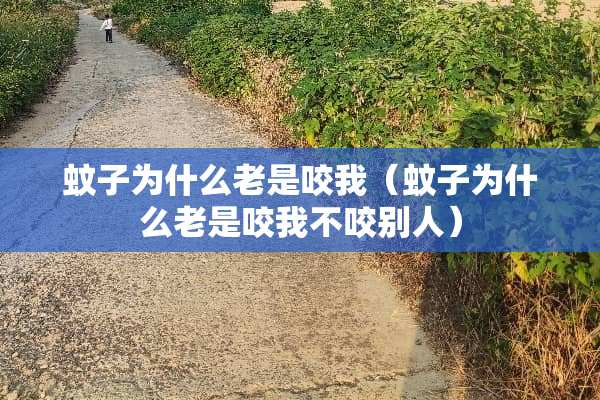 蚊子为什么老是咬我（蚊子为什么老是咬我不咬别人）