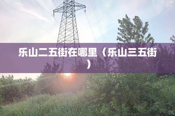 乐山二五街在哪里（乐山三五街）