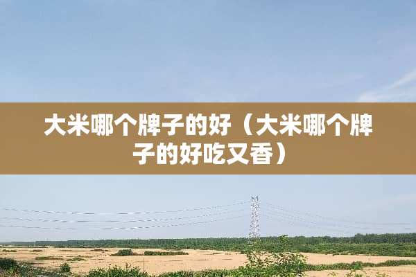 大米哪个牌子的好（大米哪个牌子的好吃又香）