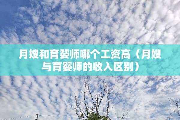 月嫂和育婴师哪个工资高（月嫂与育婴师的收入区别）
