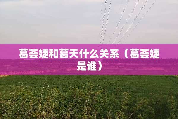 葛荟婕和葛天什么关系（葛荟婕是谁）