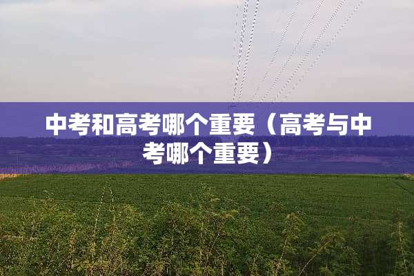 中考和高考哪个重要（高考与中考哪个重要）