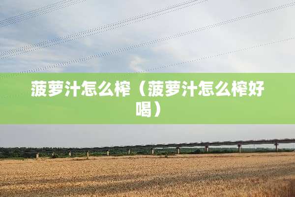 菠萝汁怎么榨（菠萝汁怎么榨好喝）