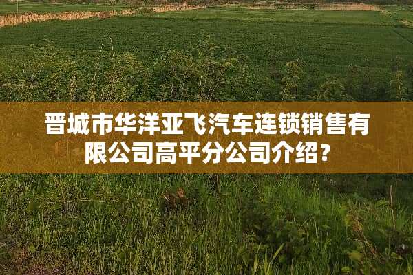 晋城市华洋亚飞汽车连锁销售有限公司高平分公司介绍？