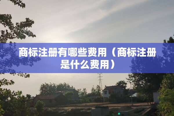 商标注册有哪些费用（商标注册是什么费用）