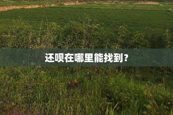 还呗在哪里能找到？