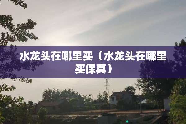 水龙头在哪里买（水龙头在哪里买保真）