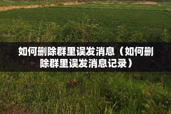如何删除群里误发消息（如何删除群里误发消息记录）