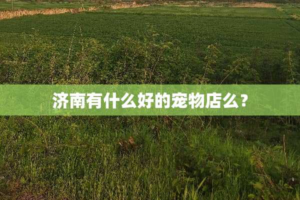 济南有什么好的宠物店么？