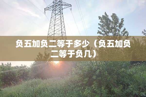 负五加负二等于多少（负五加负二等于负几）