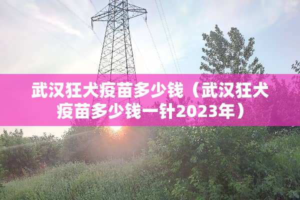 武汉狂犬**多少钱（武汉狂犬**多少钱一针2023年）
