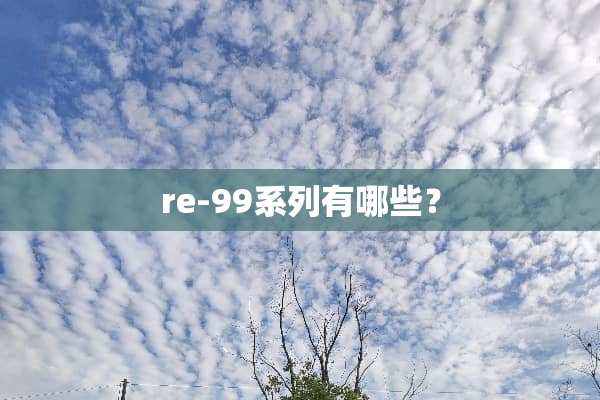 re-99系列有哪些？