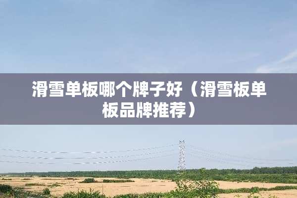 滑雪单板哪个牌子好（滑雪板单板品牌推荐）