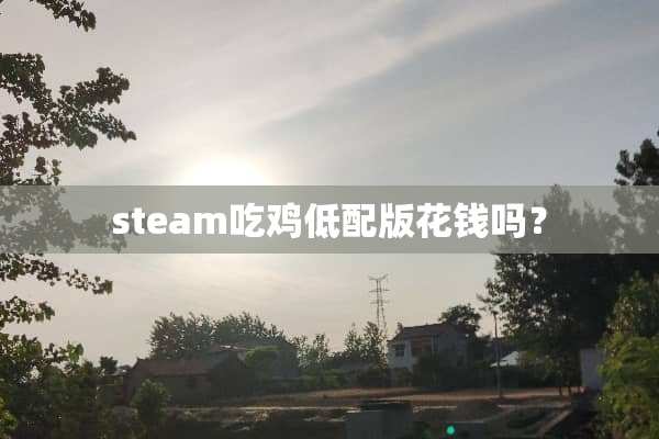 steam吃鸡低配版花钱吗？