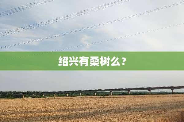 绍兴有桑树么？